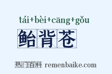 鲐背苍耈是什么意思的图片